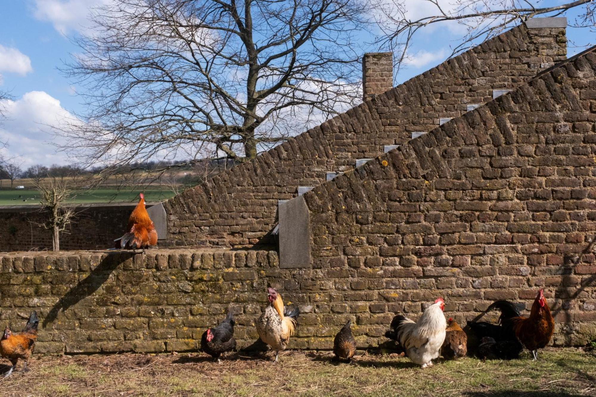 Meschermolen Exterior foto